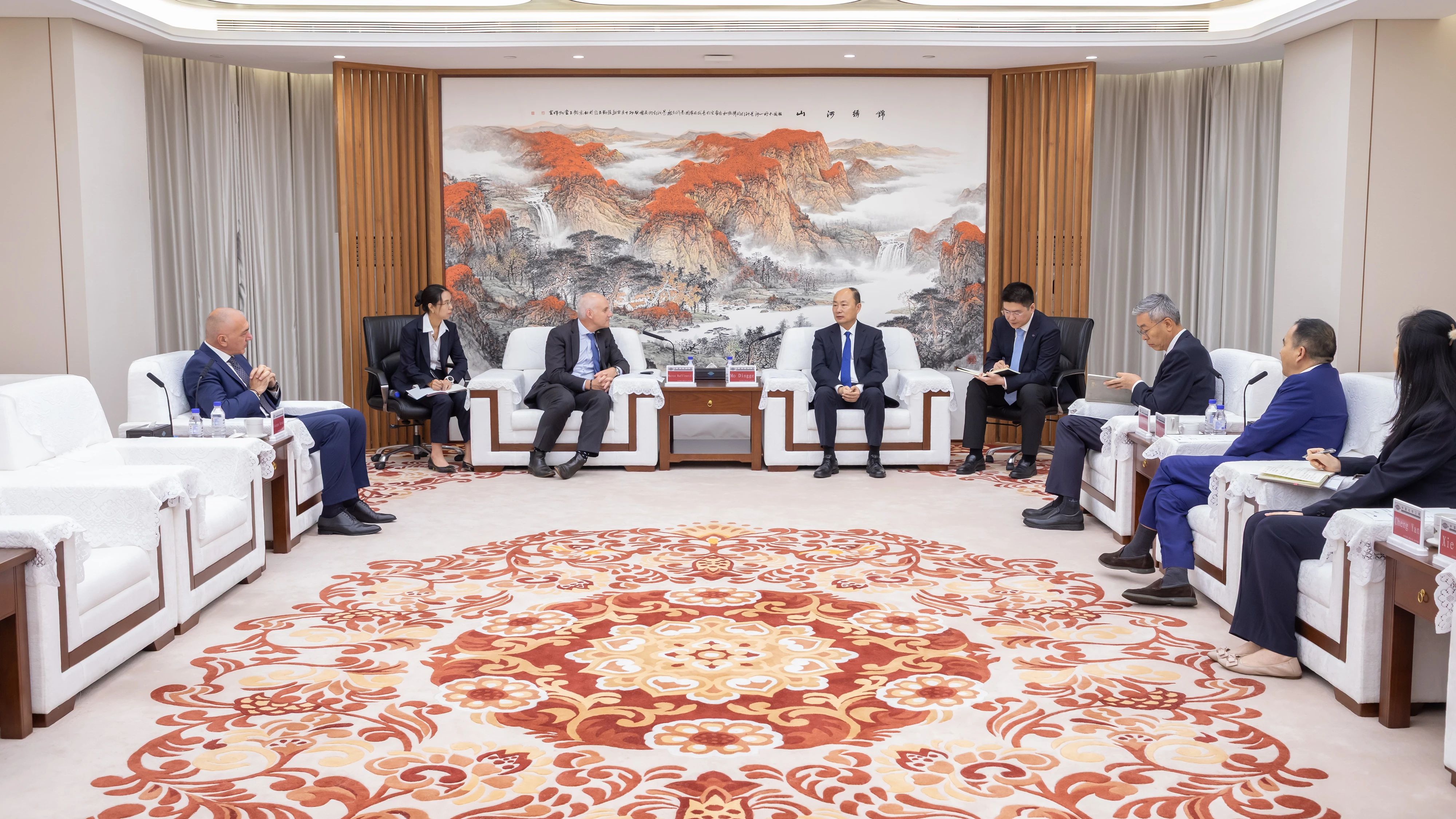 莫鼎革会见纳米比亚海芬氢能公司首席执行官马尔科・拉菲内蒂